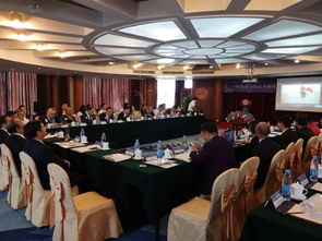 广东狮子会D381区 会展与活动服务的专业化实践